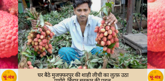 घर बैठे मुजफ्फरपुर की शाही लीची और जर्दालू आम का लुत्फ़ उठायें sahi litchi muzaffarpur