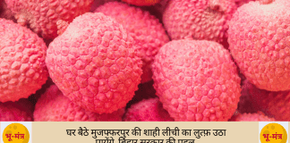 शाही लीची की ऑनलाइन डिलीवरी करेगा डाक विभाग shahi litchi